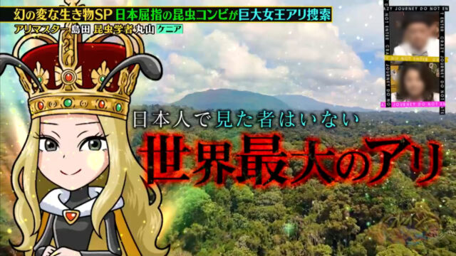 クレイジージャーニー