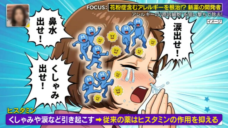 花粉症の新薬開発イラスト他【TBSテレビ/情報7daysニュースキャスター】